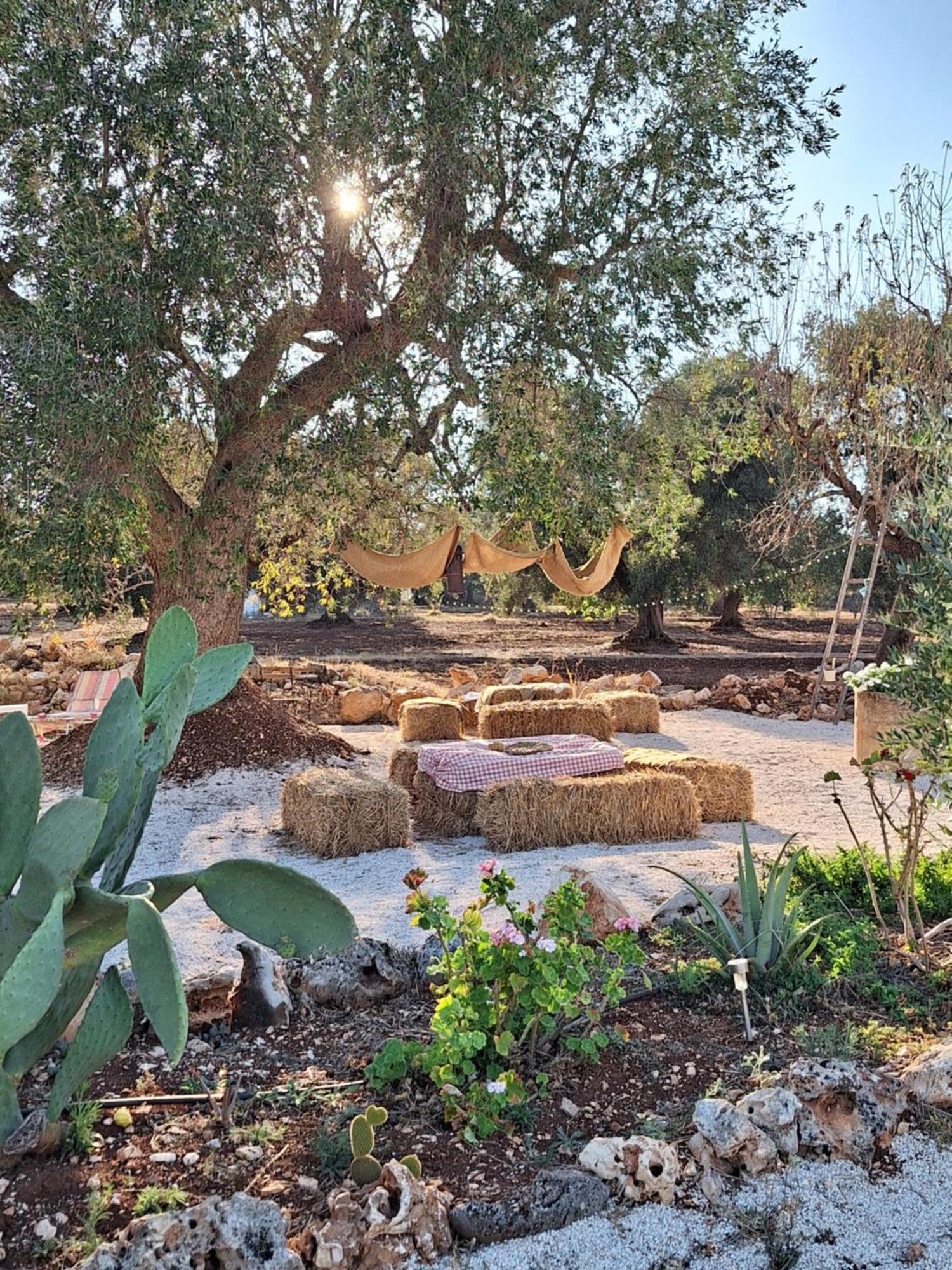 Residenza Anima Mediterranea Francavilla Fontana Esterno foto