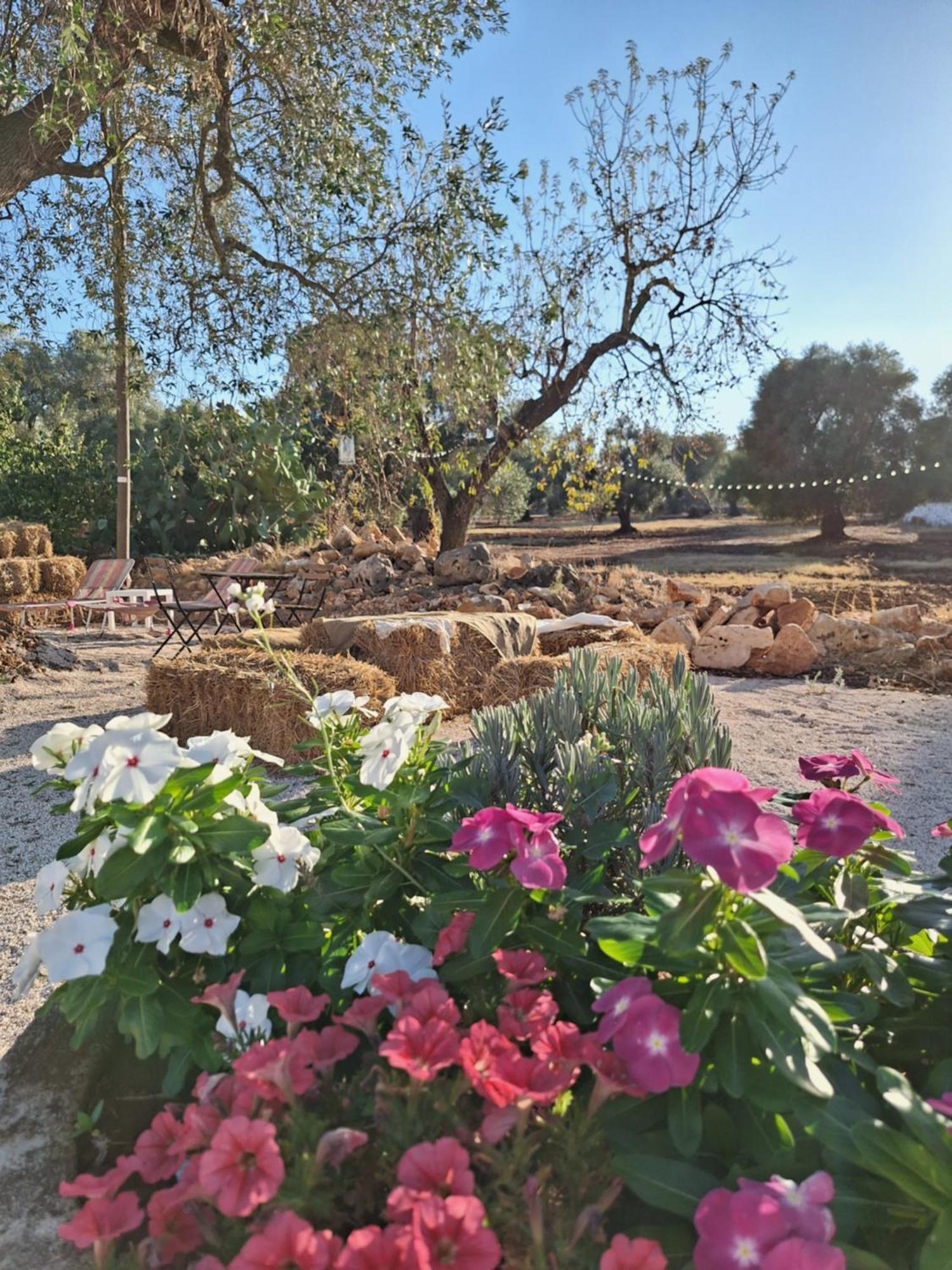Residenza Anima Mediterranea Francavilla Fontana Esterno foto