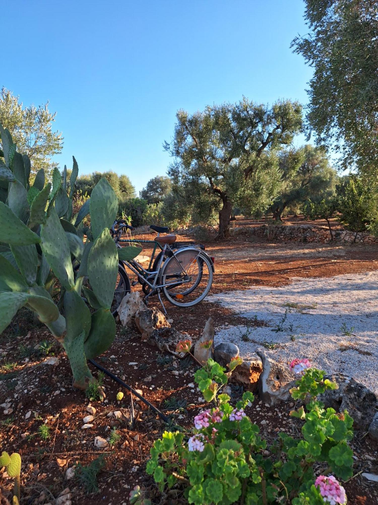 Residenza Anima Mediterranea Francavilla Fontana Esterno foto